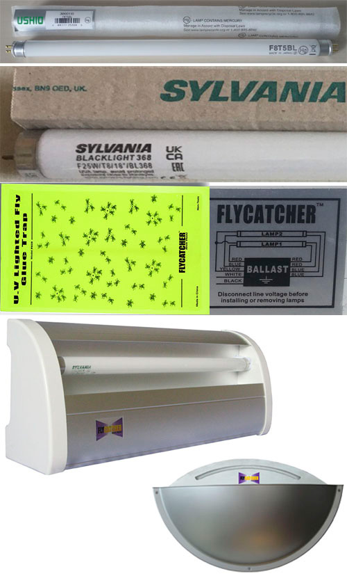 FLYCATCHERӬƲƷ